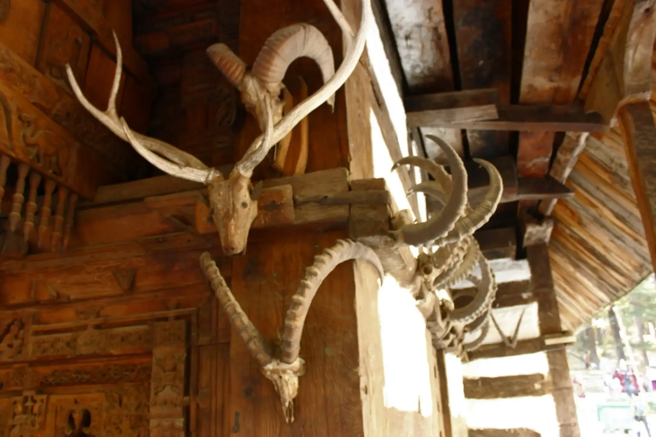 Hadimba Mandir, photo 3 of 4