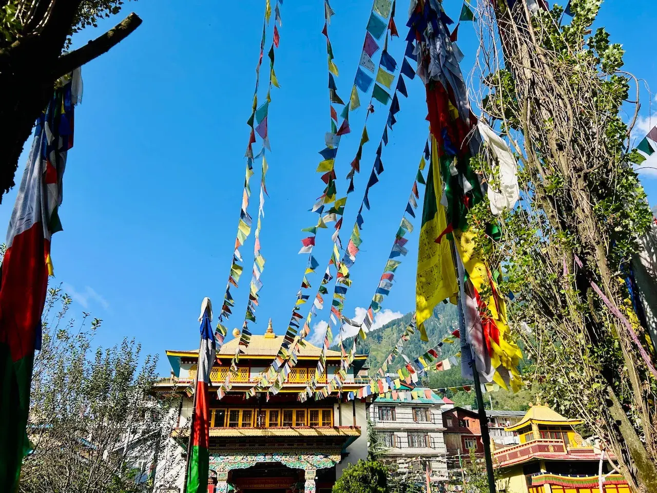Gadhan Thekchhokling Gompa, Manali