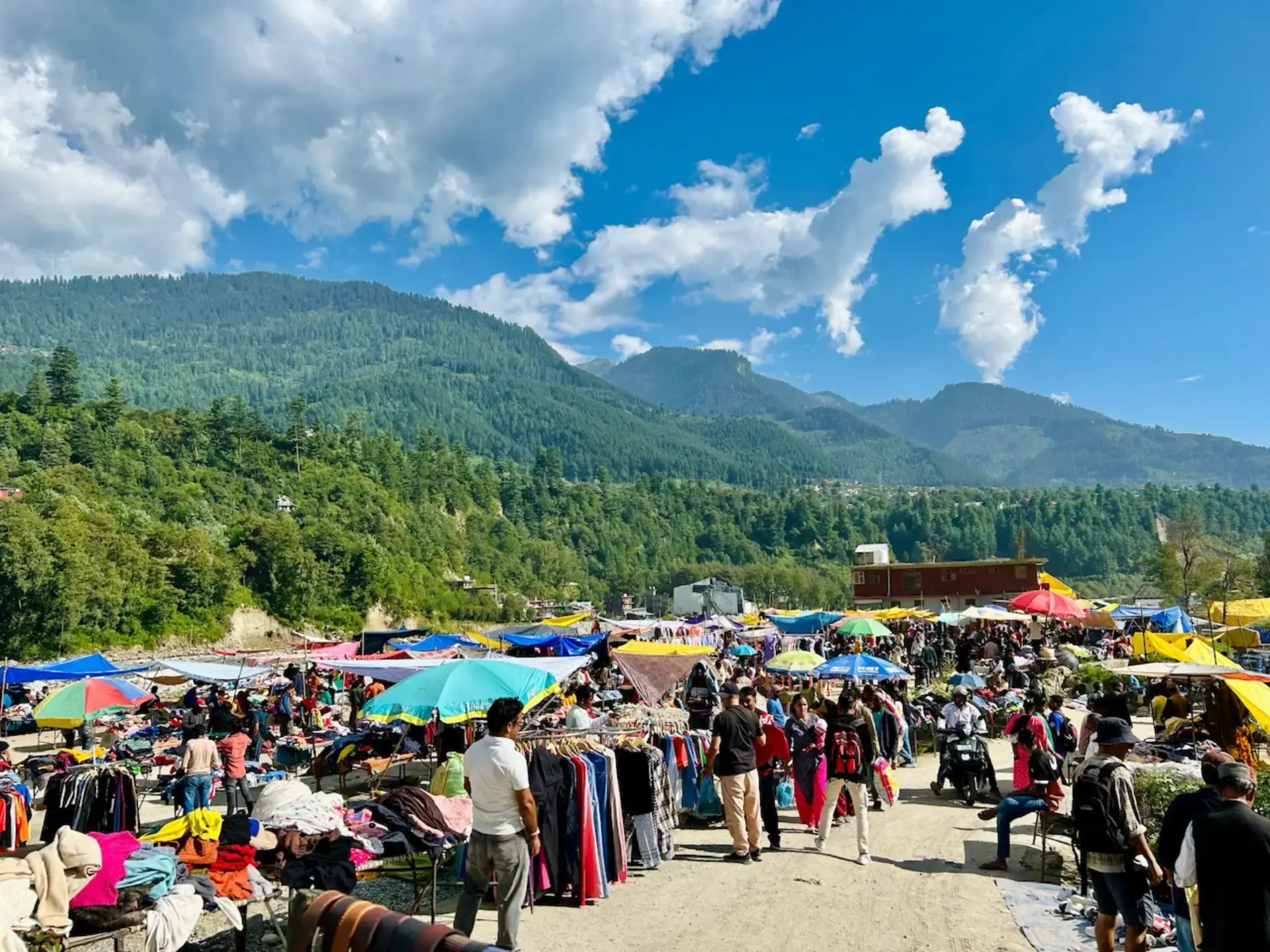 Thrift market, Patlikul
